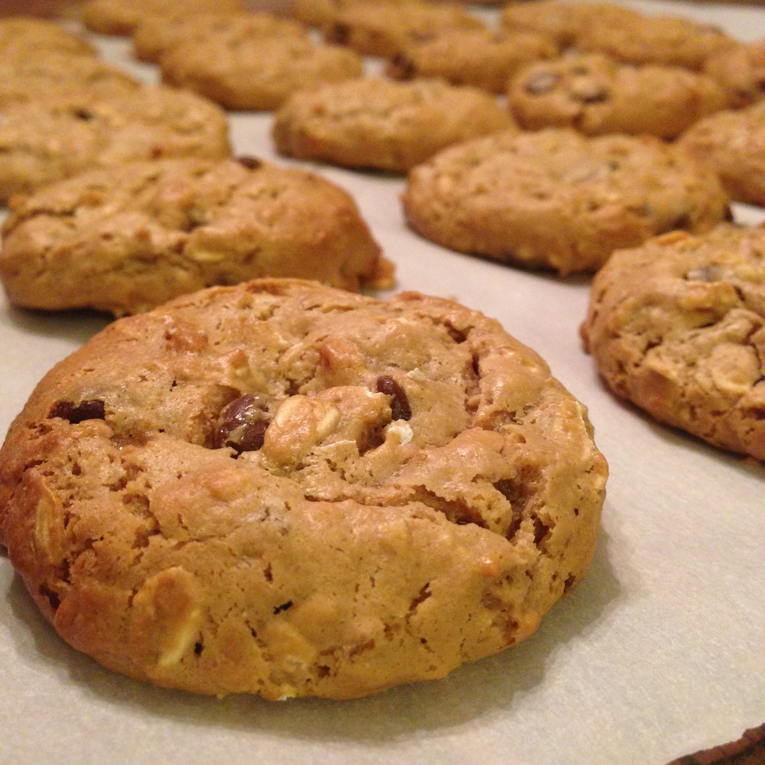 Flourless Peanut Butter Oatmeal Cookies