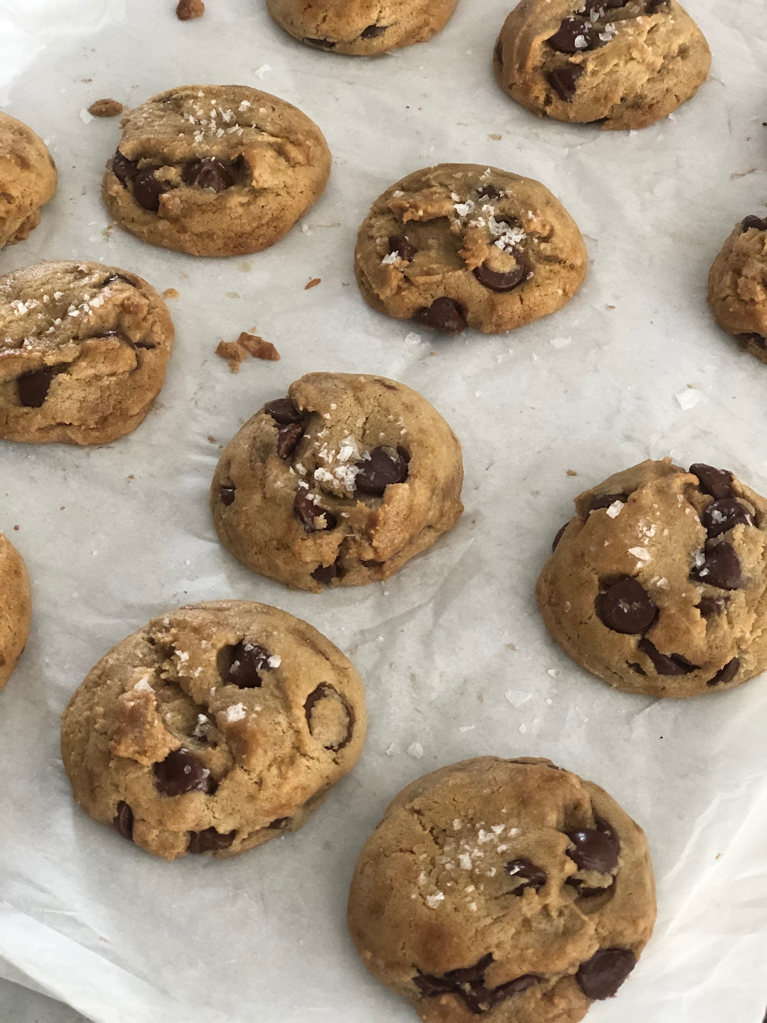 Chocolate Chip Cookies